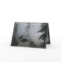 Evergreen Holiday cards by Rockangel1 Evergreen Holiday cards