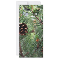 Evergreen Holidays Personalized Rack Card