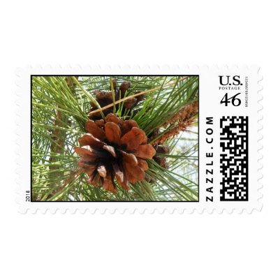 Evergreen Pine Cone Postage Stamps