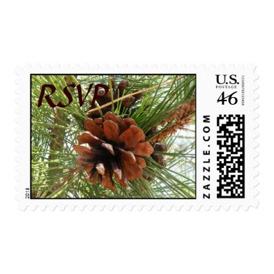 Evergreen Pine Cone RSVP Postage Stamps