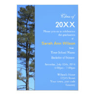 Evergreen tree photography blue graduation invite