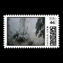 Evergreen Winter Stamp stamps