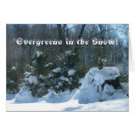 Evergreens in the Snow! cards