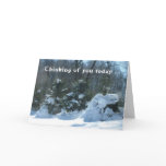 Evergreens in the Snow! Greeting Card