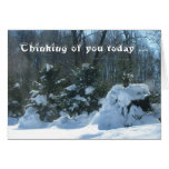 Evergreens in the Snow! Greeting Card