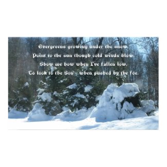 Evergreens in the Snow! print