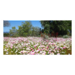 Everlasting Flowers Personalized Photo Card