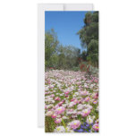 Everlasting Flowers Rack Card Template