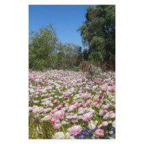 Everlasting Flowers stationery