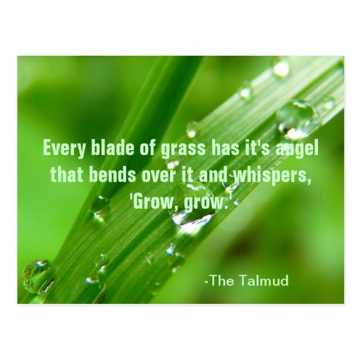 Every Blade of Grass Quote Postcard Zazzle