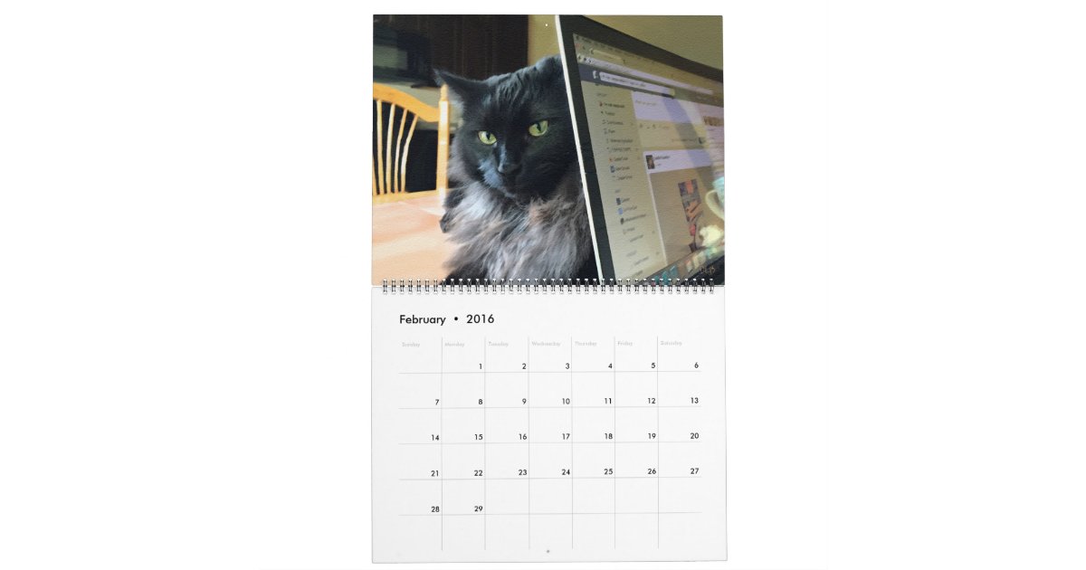 Every Day Is Saturday Custom Cat Calendar Zazzle
