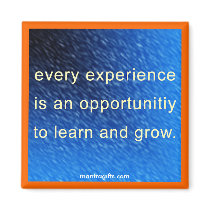 Every experience is an opportunity magnets