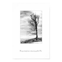 Every lonely tree is dreaming of the Sea posters
