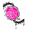 Every Rose has a thorn t-shirts