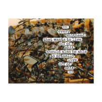 ((((every shithead that wants to live postcard
