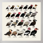 Every Vulture Posters