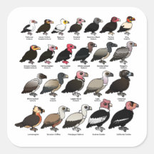 Every Vulture Square Stickers