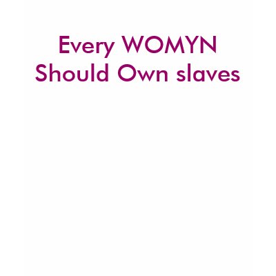 Every WOMYN Should Own slaves Tee Shirt by Female_Supremacy
