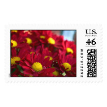 Everybody Has a Mum postage