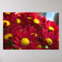 Everybody Has a Mum posters