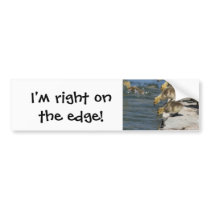 Everybody In, I'm right on the edge! bumper stickers