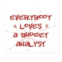 Everybody Loves A Budget Analyst posters