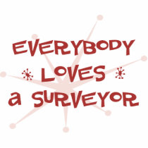 Everybody Loves A Surveyor photo sculptures by itsallhot Everybody Loves A Surveyor photo sculptures