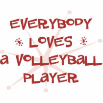Everybody Loves A Volleyball Player photo sculptures