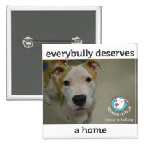 Everybully - simon buttons