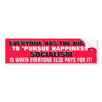 EVERYONE HAS THE RIGHT TO PURSUE HAPPINESS. bumper stickers