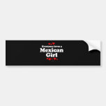 Everyone Loves a Mexican T-shirt Bumper Stickers