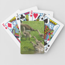 Everyone Out Bicycle Poker Deck