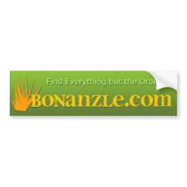 Everything but the Ordinary Bumper Sticker bumper stickers