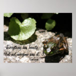 Everything has beauty, but not everyone... print