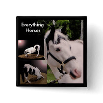 Everything Horses... buttons