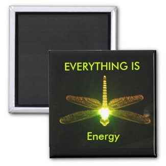 Everything is Energy magnet