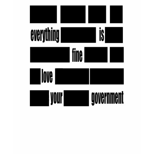 Everything is FINE. Love your Government. shirt