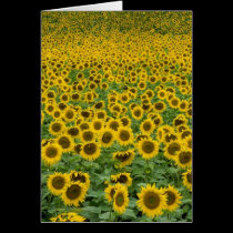 'Everything is going to be all right' card cards