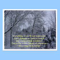 Everything On Earth postcards