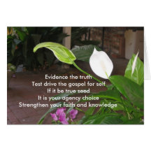 Evidence The Truth Greeting Cards