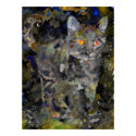 Evil Cat posters