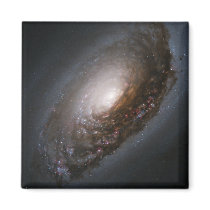 Evil Eye Galaxy Fridge Magnets