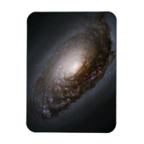 Evil Eye Galaxy Flexible Magnet