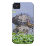 Evil Eye Gator casemate cases