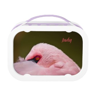 Evil Eyed Pink Flamingo Lunchbox