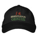 Evil Genius embroidered hats