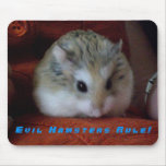 Evil Hamsters Rule Mouse Pad