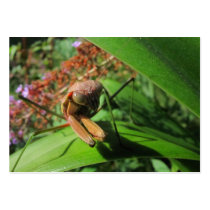 Evil Mantis ~ ATC Business Card