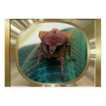 Evil Moth 1 ~ ATC business cards