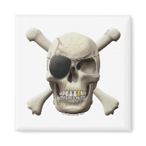 Evil Pirate Skull & Crossbones Magnets